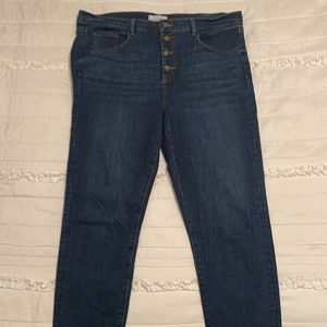 Loft Button Fly High Waisted Skinny Jeans | Size 16, 33